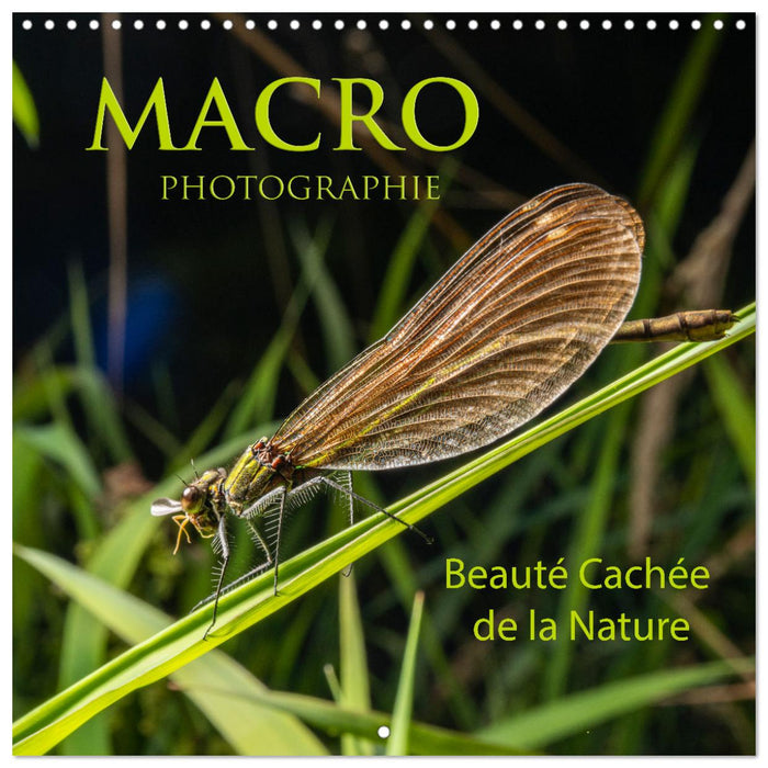 MACRO PHOTOGRAPHIE Beauté Cachée de la Nature (CALVENDO Calendrier mensuel 2027)