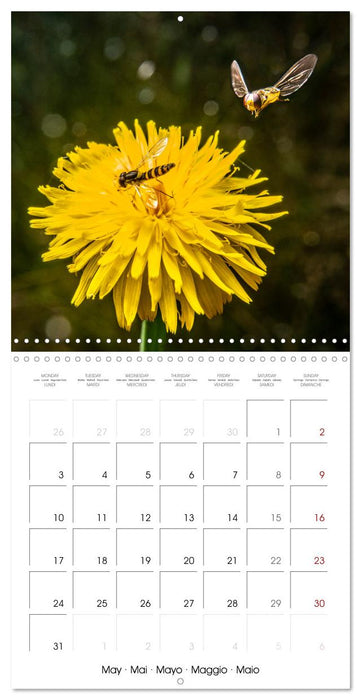 MACRO PHOTOGRAPHIE Beauté Cachée de la Nature (CALVENDO Calendrier mensuel 2027)