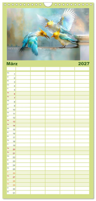 Farbenfrohe Fantasievögel (CALVENDO Familienplaner 2027)