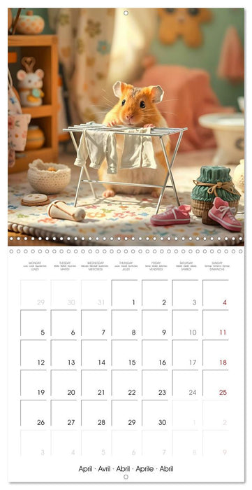 Hamster housekeeping - little paws and big Jobs (CALVENDO Monthly Calendar 2027)