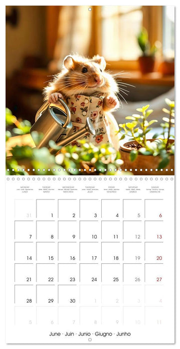 Hamster housekeeping - little paws and big Jobs (CALVENDO Monthly Calendar 2027)