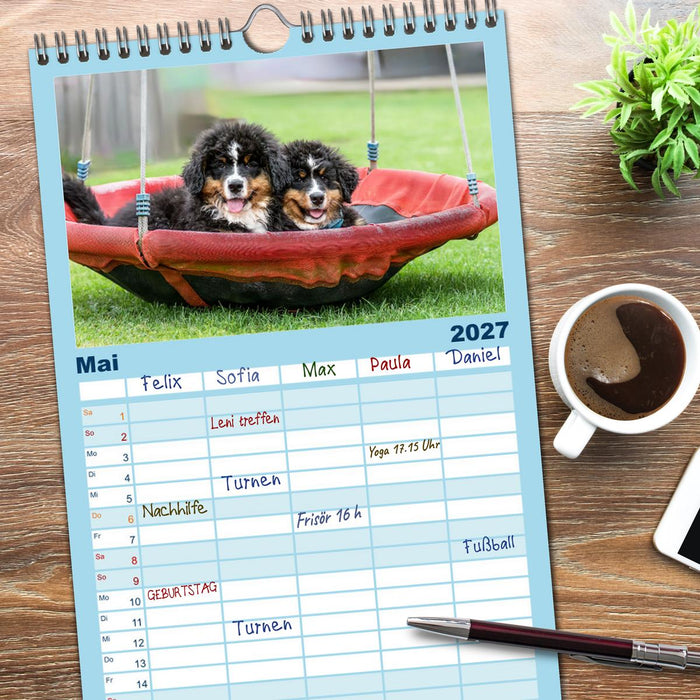 Berner Sennenhunde - Faszinierende Herzensbrecher (CALVENDO Familienplaner 2027)
