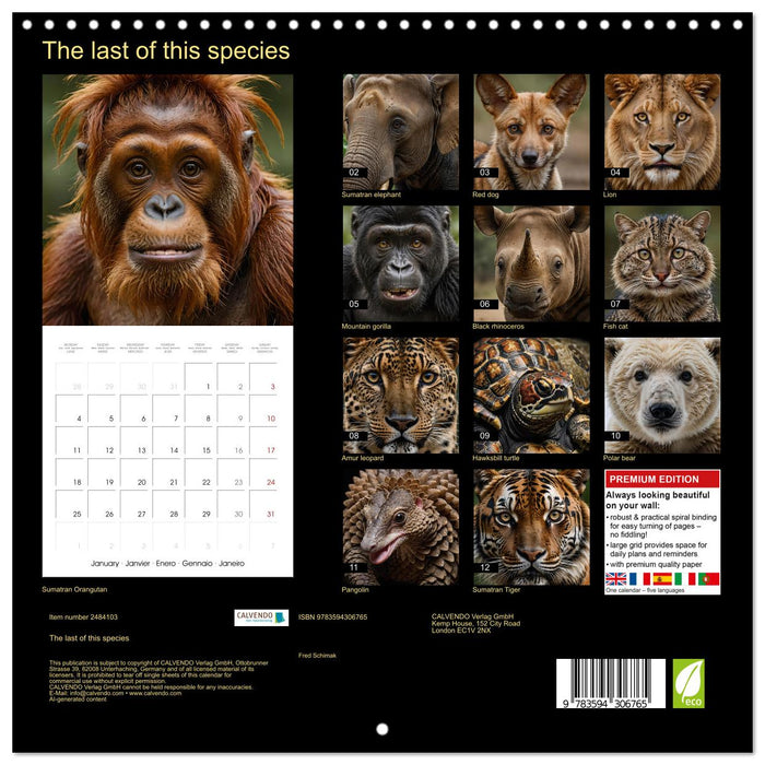 The last of this species (CALVENDO Monthly Calendar 2027)