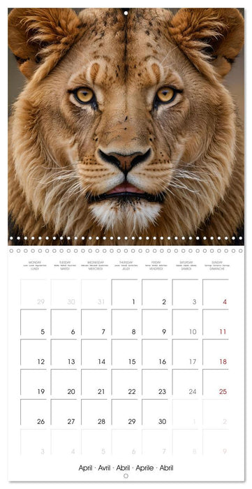 The last of this species (CALVENDO Monthly Calendar 2027)