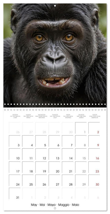 The last of this species (CALVENDO Monthly Calendar 2027)