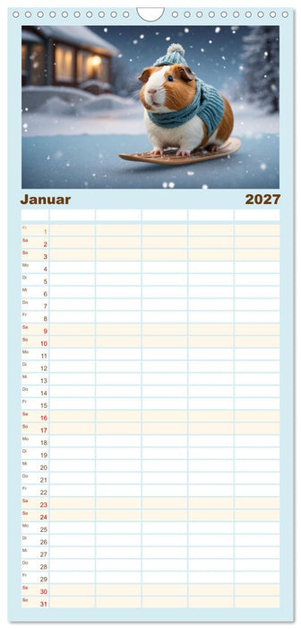 Meerschweinchen mal anders! (CALVENDO Familienplaner 2027)