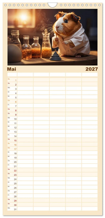 Meerschweinchen mal anders! (CALVENDO Familienplaner 2027)