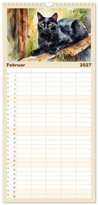Samtpfoten im Portrait (CALVENDO Familienplaner 2027)