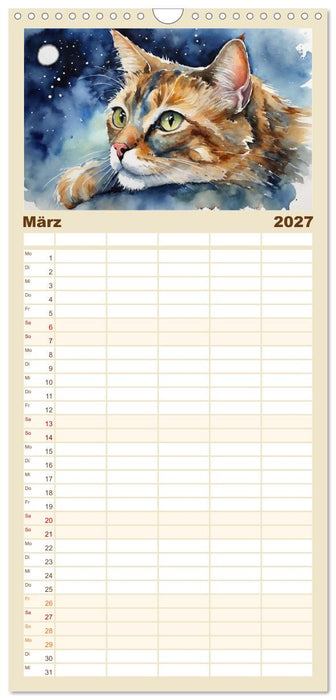 Samtpfoten im Portrait (CALVENDO Familienplaner 2027)