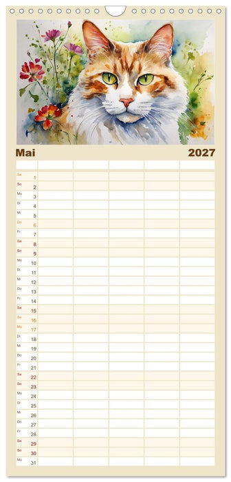 Samtpfoten im Portrait (CALVENDO Familienplaner 2027)