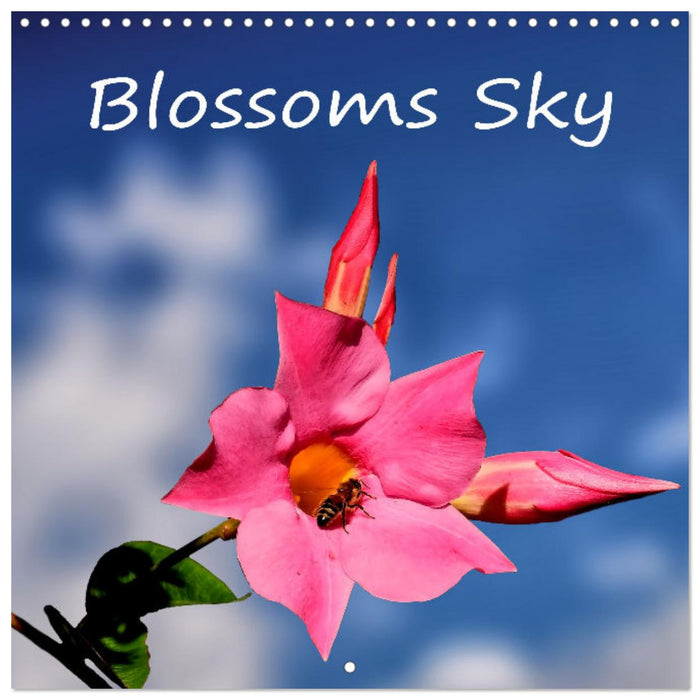 Blossum sky (CALVENDO Monthly Calendar 2027)