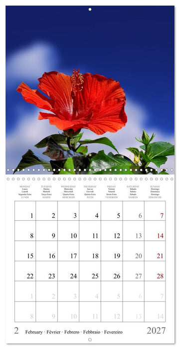 Blossum sky (CALVENDO Monthly Calendar 2027)