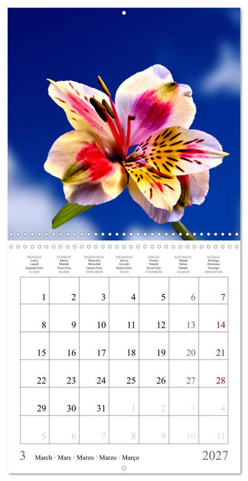 Blossum sky (CALVENDO Monthly Calendar 2027)