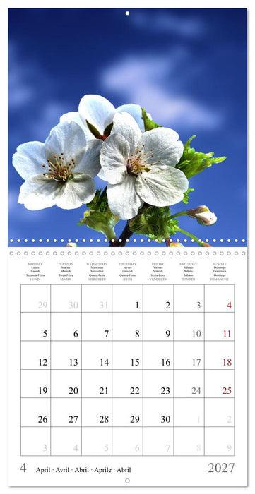 Blossum sky (CALVENDO Monthly Calendar 2027)