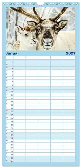 Tierkinder des Nordens (CALVENDO Familienplaner 2027)