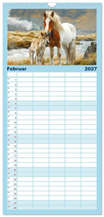 Tierkinder des Nordens (CALVENDO Familienplaner 2027)