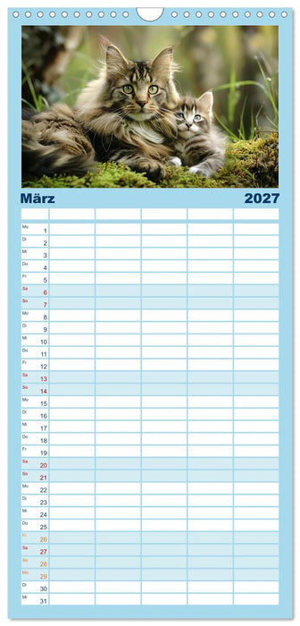 Tierkinder des Nordens (CALVENDO Familienplaner 2027)