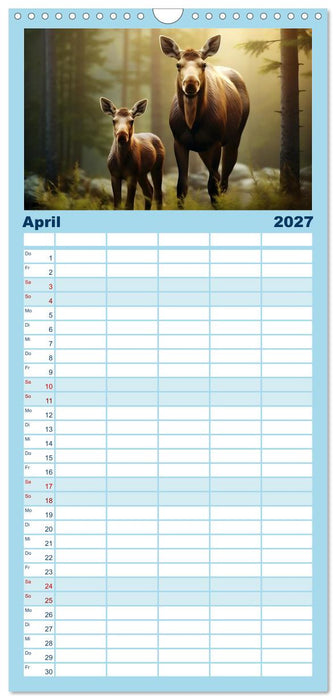 Tierkinder des Nordens (CALVENDO Familienplaner 2027)