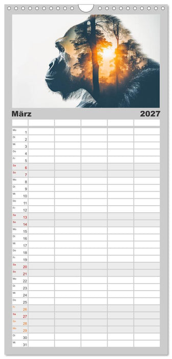 Traumhafte Silhouetten (CALVENDO Familienplaner 2027)