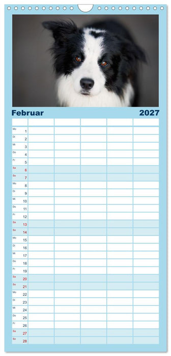 Hütehunde - Hüter der Herzen (CALVENDO Familienplaner 2027)