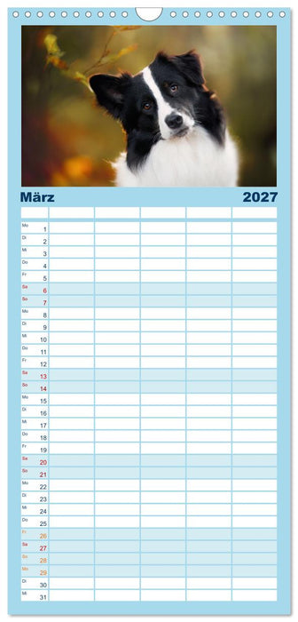 Hütehunde - Hüter der Herzen (CALVENDO Familienplaner 2027)