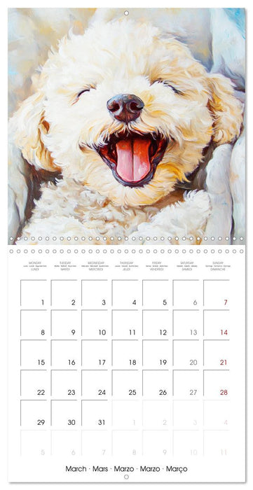 Funny dogs deluxe. Because happy faces make happy days (CALVENDO Monthly Calendar 2027)