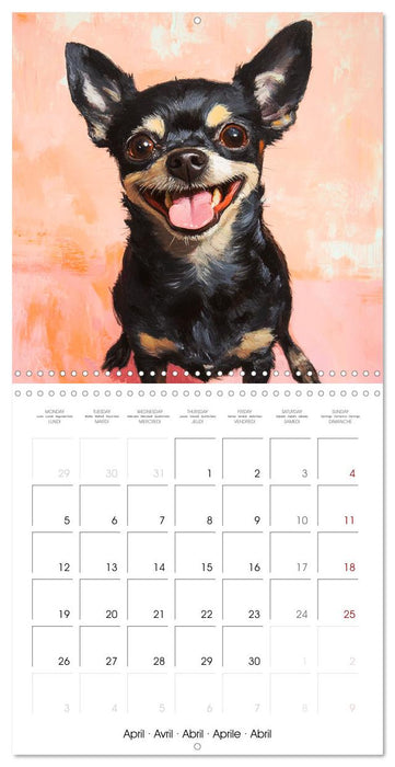 Funny dogs deluxe. Because happy faces make happy days (CALVENDO Monthly Calendar 2027)