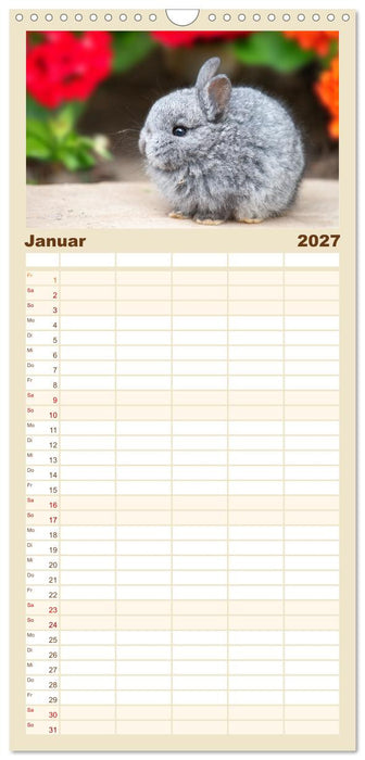 Flauschige Fellknäuel (CALVENDO Familienplaner 2027)