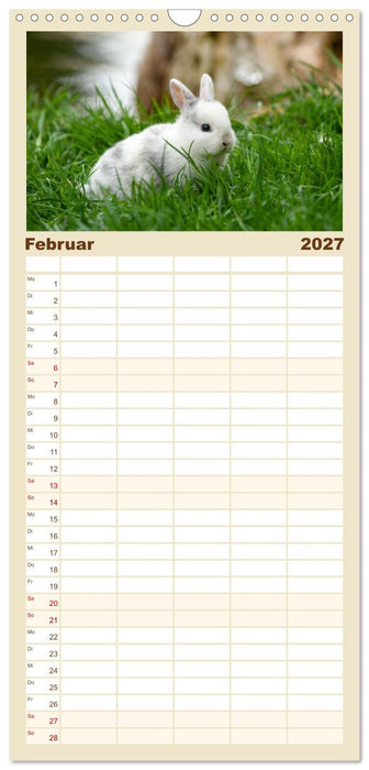 Flauschige Fellknäuel (CALVENDO Familienplaner 2027)