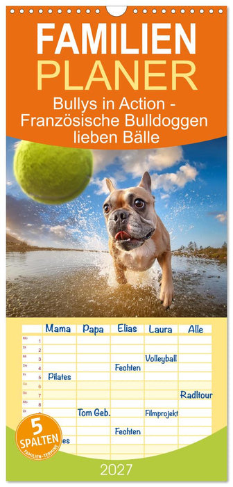 Bullys in Action - Französische Bulldoggen lieben Bälle (CALVENDO Familienplaner 2027)