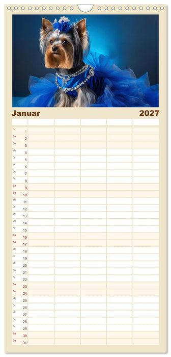Kleine Hunde - Große Diven (CALVENDO Familienplaner 2027)