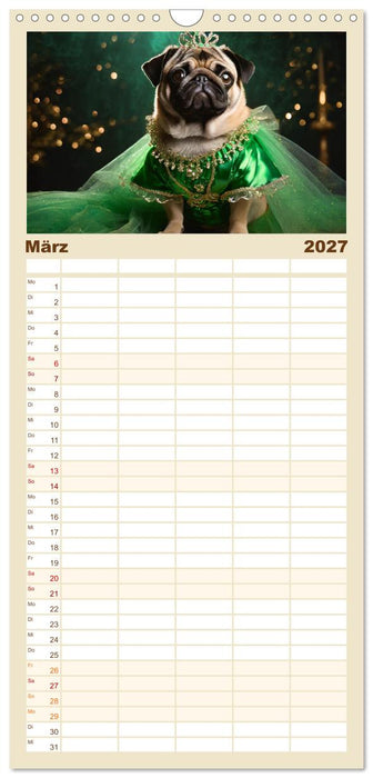 Kleine Hunde - Große Diven (CALVENDO Familienplaner 2027)