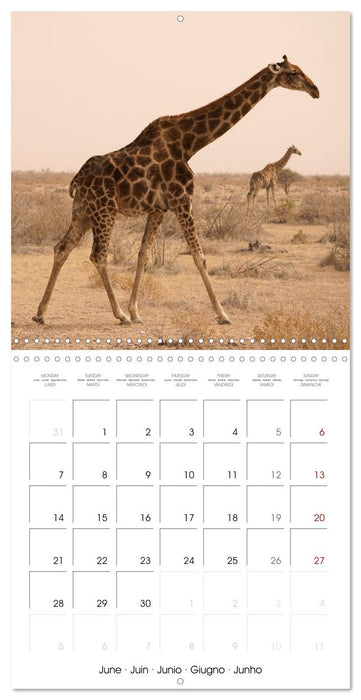 Namibian Adventure (CALVENDO Monthly Calendar 2027)