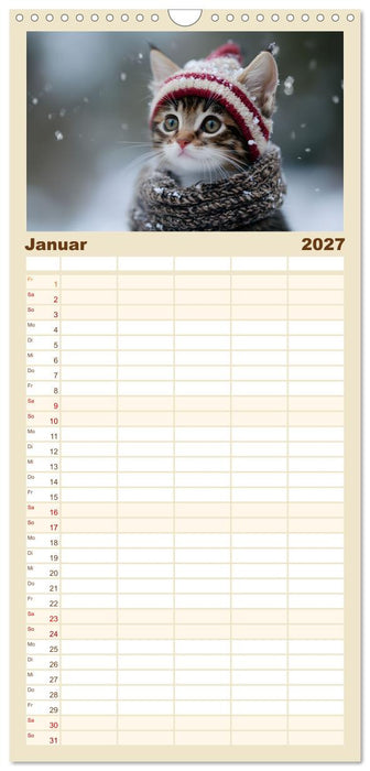 Zauberhafte Katzenbabys (CALVENDO Familienplaner 2027)