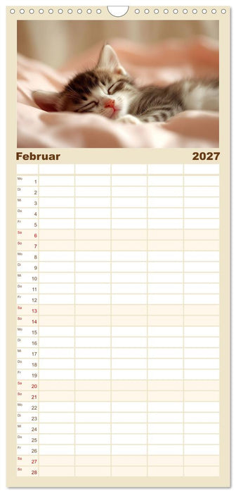 Zauberhafte Katzenbabys (CALVENDO Familienplaner 2027)