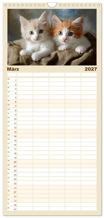 Zauberhafte Katzenbabys (CALVENDO Familienplaner 2027)