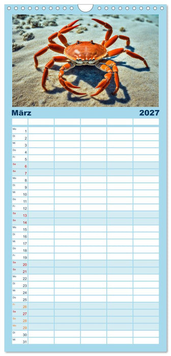 Tief unten im Meer Unterwasser Fantasy (CALVENDO Familienplaner 2027)