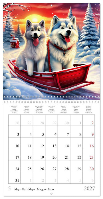 Funny Pets in Winter Landscape (CALVENDO Monthly Calendar 2027)