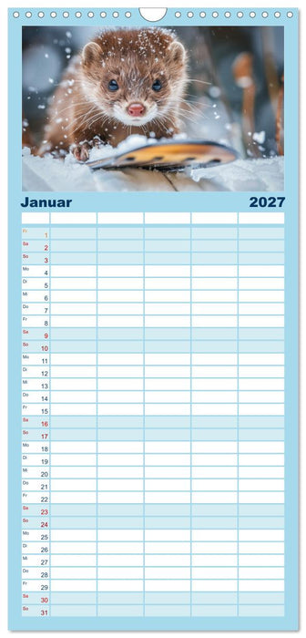 Kleine freche Nerze (CALVENDO Familienplaner 2027)