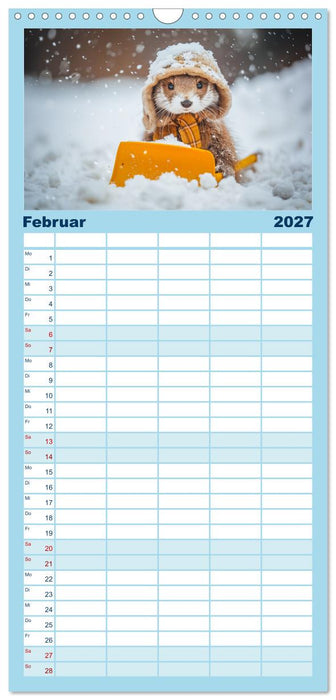 Kleine freche Nerze (CALVENDO Familienplaner 2027)