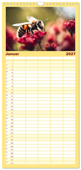 Filigrane Insekten (CALVENDO Familienplaner 2027)