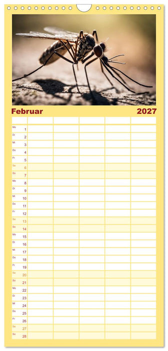 Filigrane Insekten (CALVENDO Familienplaner 2027)