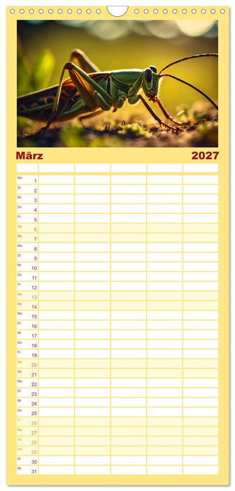 Filigrane Insekten (CALVENDO Familienplaner 2027)