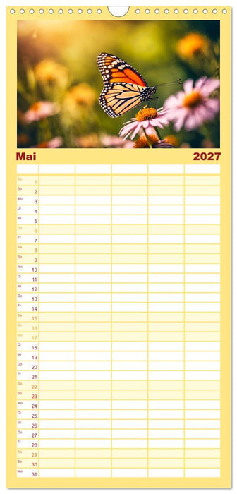 Filigrane Insekten (CALVENDO Familienplaner 2027)