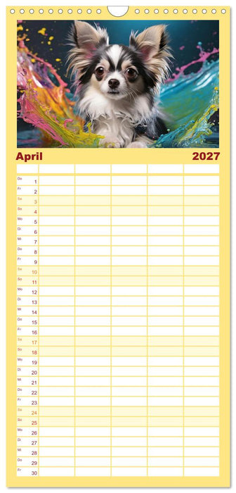 Splash - Hunde im Farbrausch (CALVENDO Familienplaner 2027)