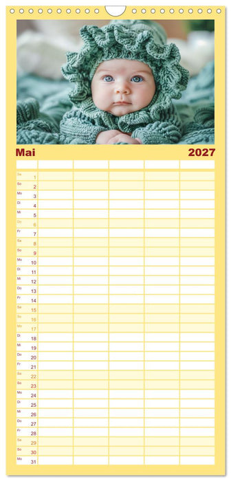 Lustige Strick-Ideen (CALVENDO Familienplaner 2027)