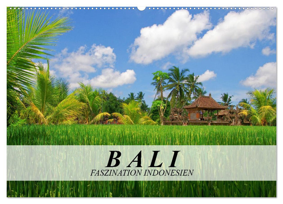 Bali - Faszination Indonesien (CALVENDO Wandkalender 2027)