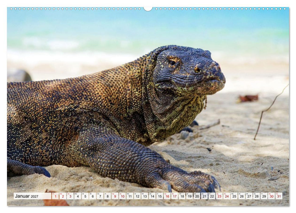 Flores und Komodo - Faszination Indonesien (CALVENDO Premium Wandkalender 2027)