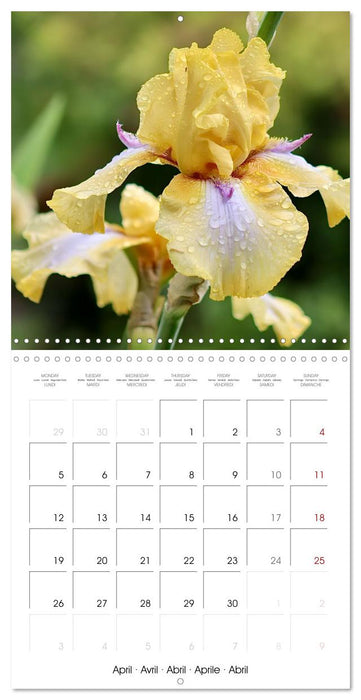 ENCHANTING FLOWERS (CALVENDO Monthly Calendar 2027)