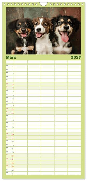 Lächelnde Hunde sind wie Sonnenschein auf vier Pfoten (CALVENDO Familienplaner 2027)